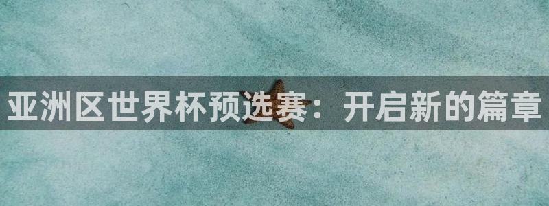 世界杯预赛赛程:亚洲区世界杯预选赛:开启新的篇章