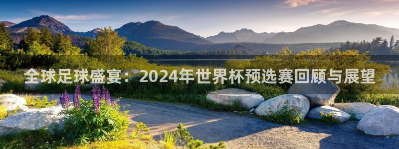 免费足球比赛直播高清:全球足球盛宴:2024年世界杯预选赛回顾与展望