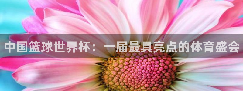 免费足球比赛直播高清:中国篮球世界杯:一届最具亮点的体育盛会