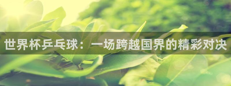 2026世界杯预选赛:世界杯乒乓球:一场跨越国界的精彩对决