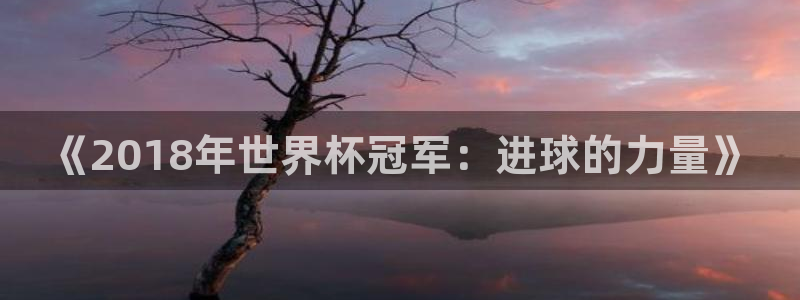 免费足球比赛直播高清:《2018年世界杯冠军:进球的力量》