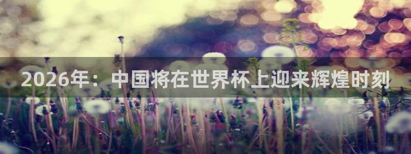 2026世界杯官网:2026年:中国将在世界杯上迎来辉煌时刻